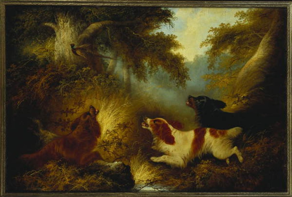 Detail of Spaniels putting up a Pheasant by George Armfield