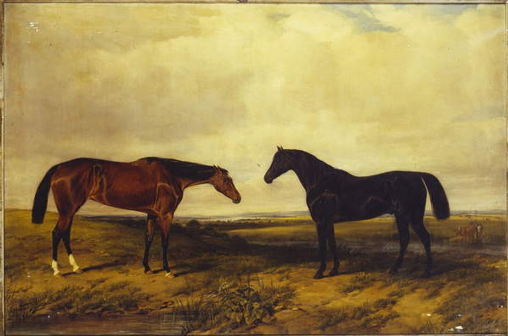 Detail of The Earl of Granard's bright bay filly and dark bay stallion, 1885 by William Snr. Luker
