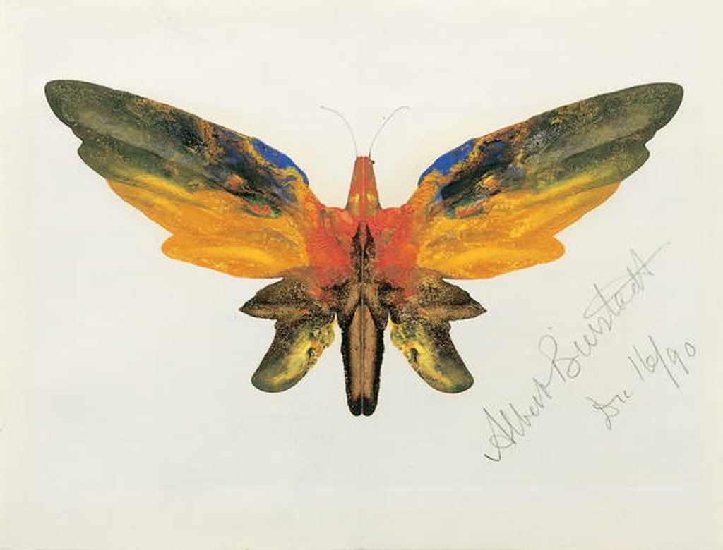 Detail of Butterfly, 1890 by Albert Bierstadt