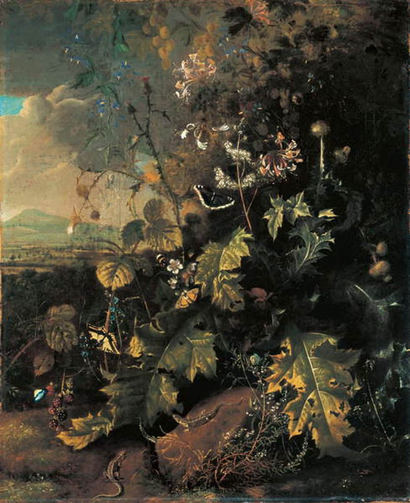 Detail of Forest floor with butterflies and lizards by Matthias Withoos