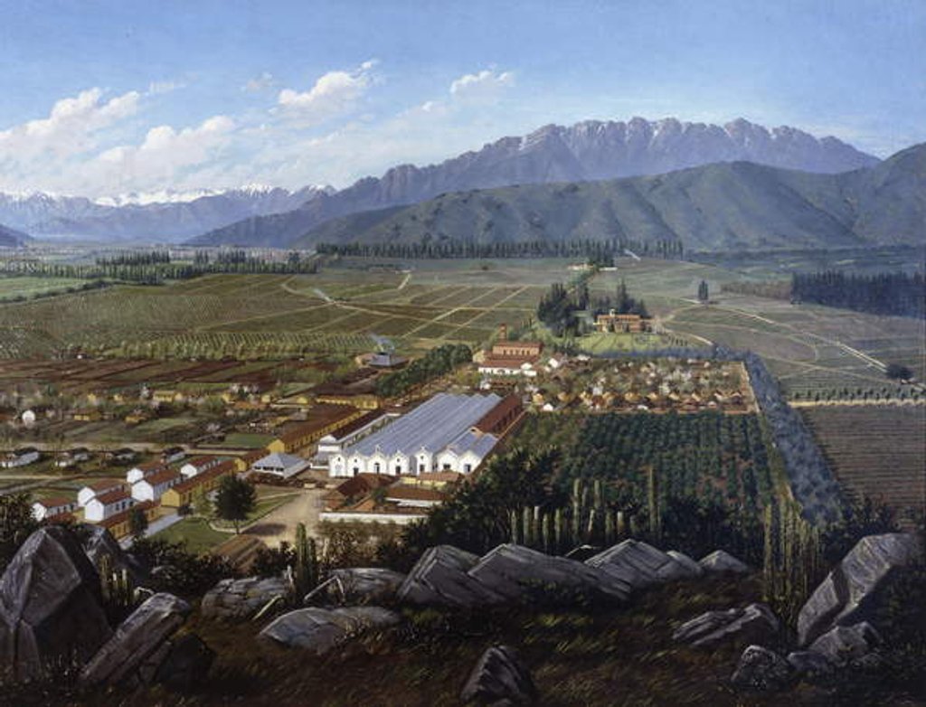 Detail of The Vineyard of Erranzuriz-Panquehue, Chile, 1896 by Daniel Escobar