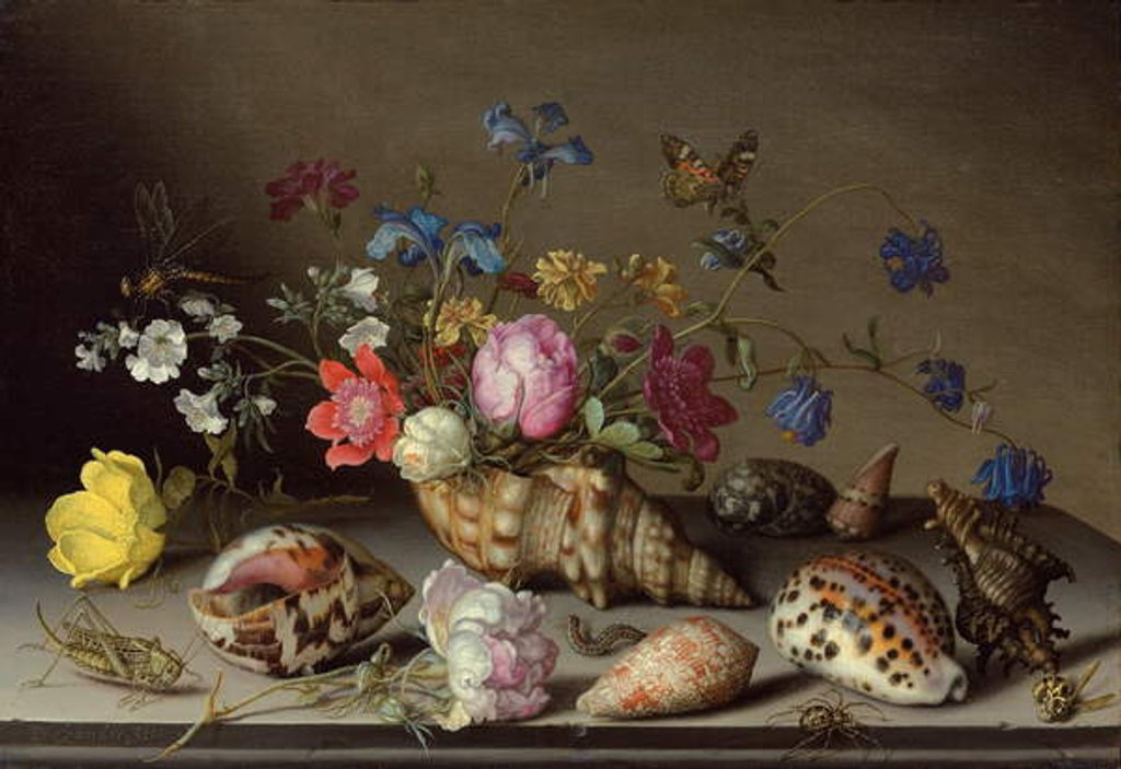 Detail of Flowers, shells and insects on a stone ledge by Balthasar van der Ast