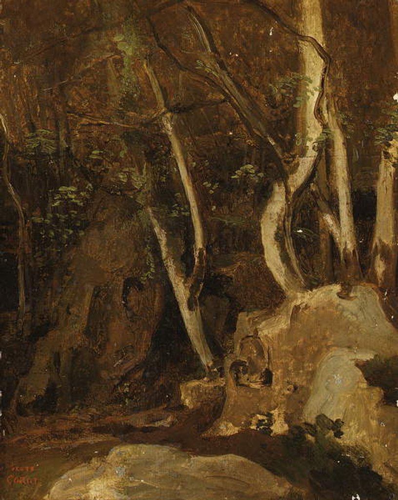 Detail of At Civita Castellana, Wooded Rocks, 1825-28 by Jean Baptiste Camille Corot