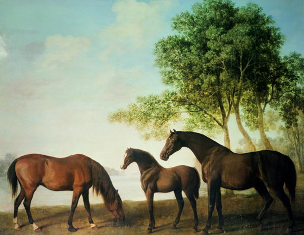Detail of Shafto Mares and a Foal by George Stubbs