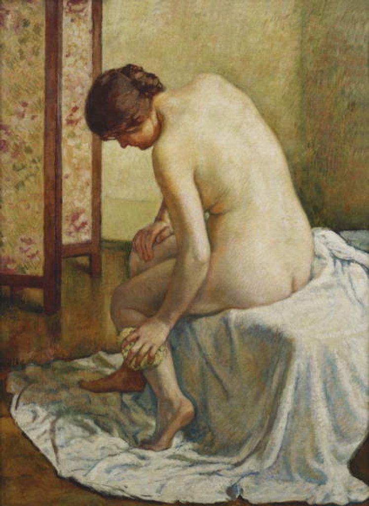 Detail of Bather by Theo van Rysselberghe