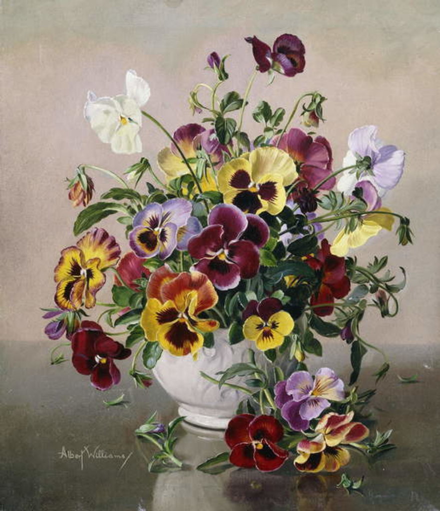 Detail of A Still Life with Pansies by Albert Williams