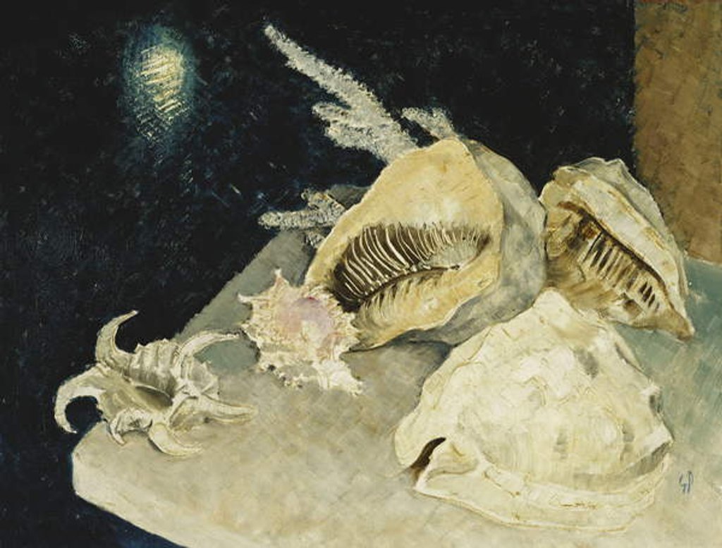 Detail of Shells by Glyn Warren Philpot