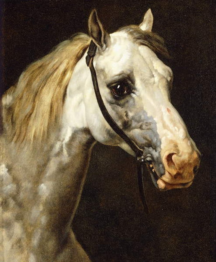 Detail of Head of a Piebald Horse by Theodore Gericault