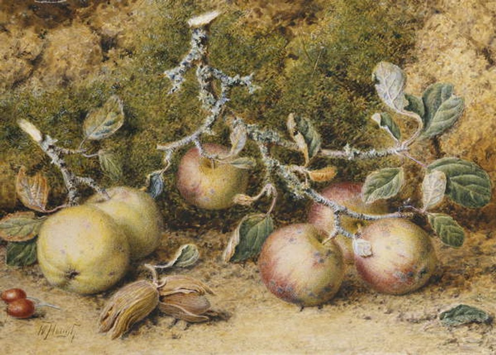 Detail of Still Life with Apples, Hazelnuts and Rosehips by William Hough
