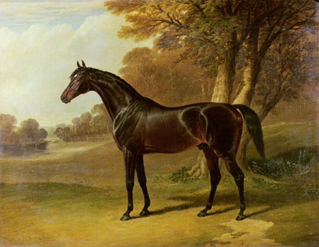 Detail of Glaucus by John Frederick Herring Snr