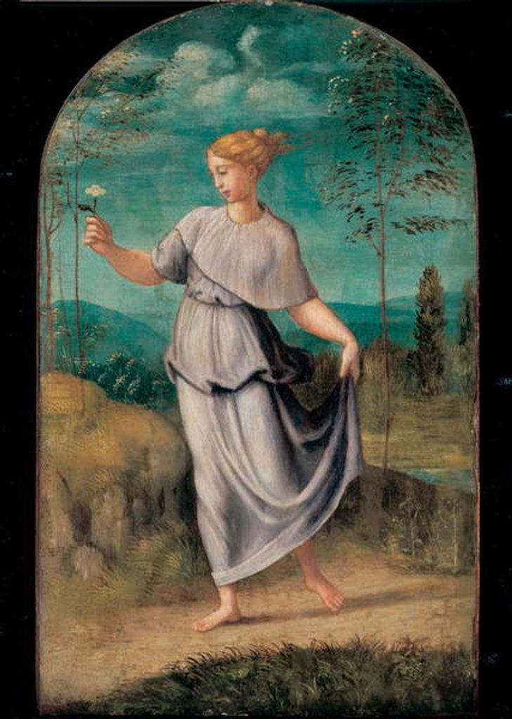 Detail of Young woman holding a flower with an extensive landscape beyond by Girolamo da Carpi