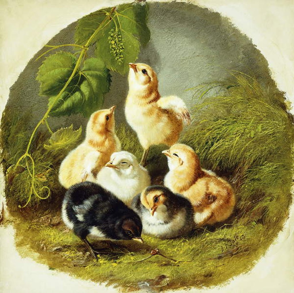 Detail of Chicks, 1863 by Arthur Fitzwilliam Tait