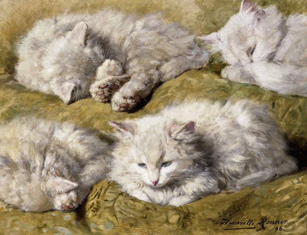 Detail of Studies of a Long-haired White Cat, 1896 by Henriette Ronner-Knip
