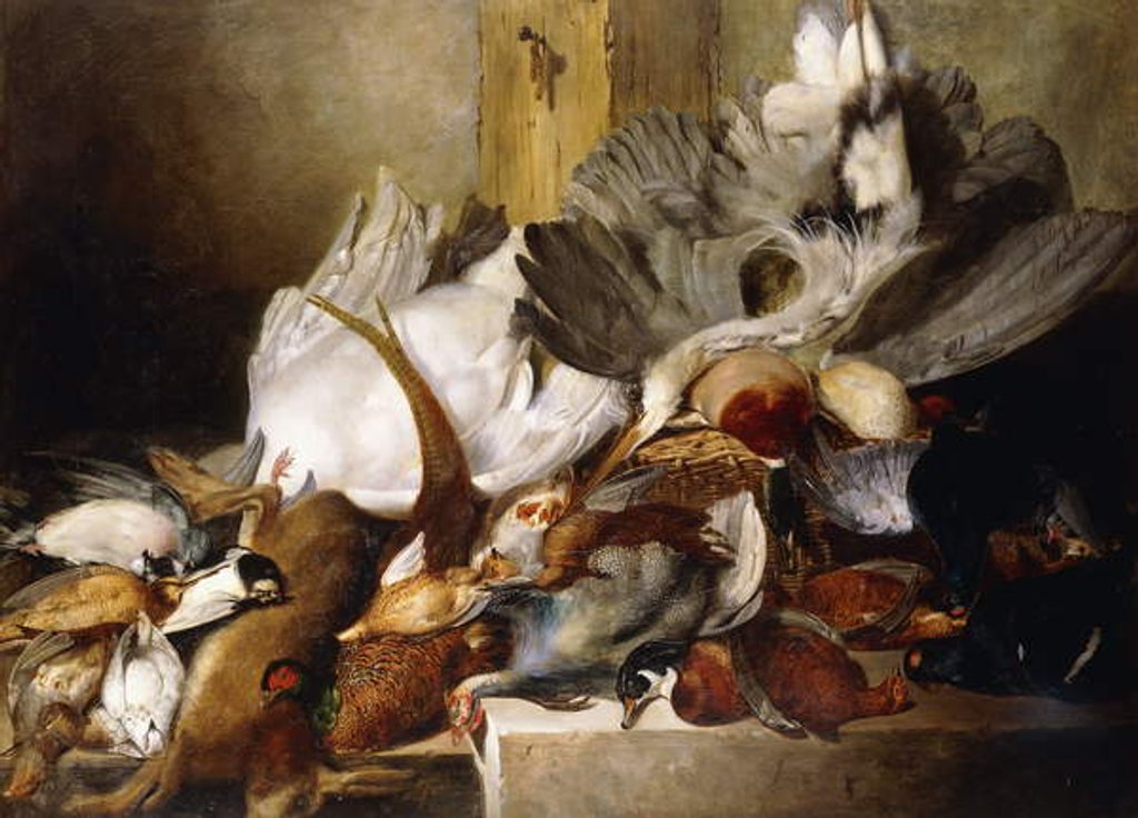 Detail of A Still Life of Dead Birds; A Heron Hanging from a Wall, Duck, Pheasant, Partridge, Woodcock, a Swan and a Pigeon with a Hare, 1845 by W. Oakes