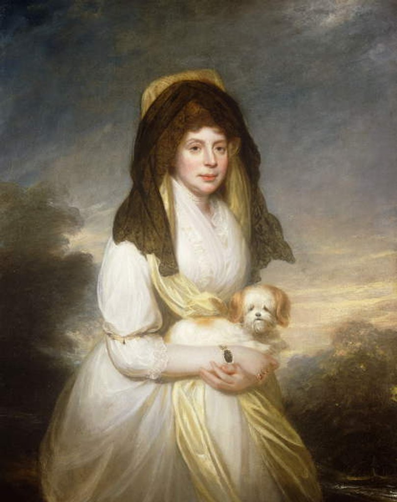 Detail of Portrait of Queen Charlotte, Three-Quarter Length, in a White Dress, a Yellow Shawl and Black Mantilla, Holding a Maltese Dog, in the Grounds of Frogmore House by William Beechey