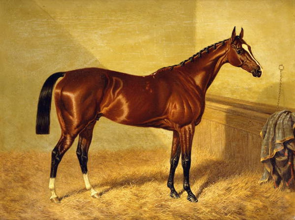Detail of Orlando, a Bay Racehorse in a Loosebox, 1845 by John Frederick Herring Snr