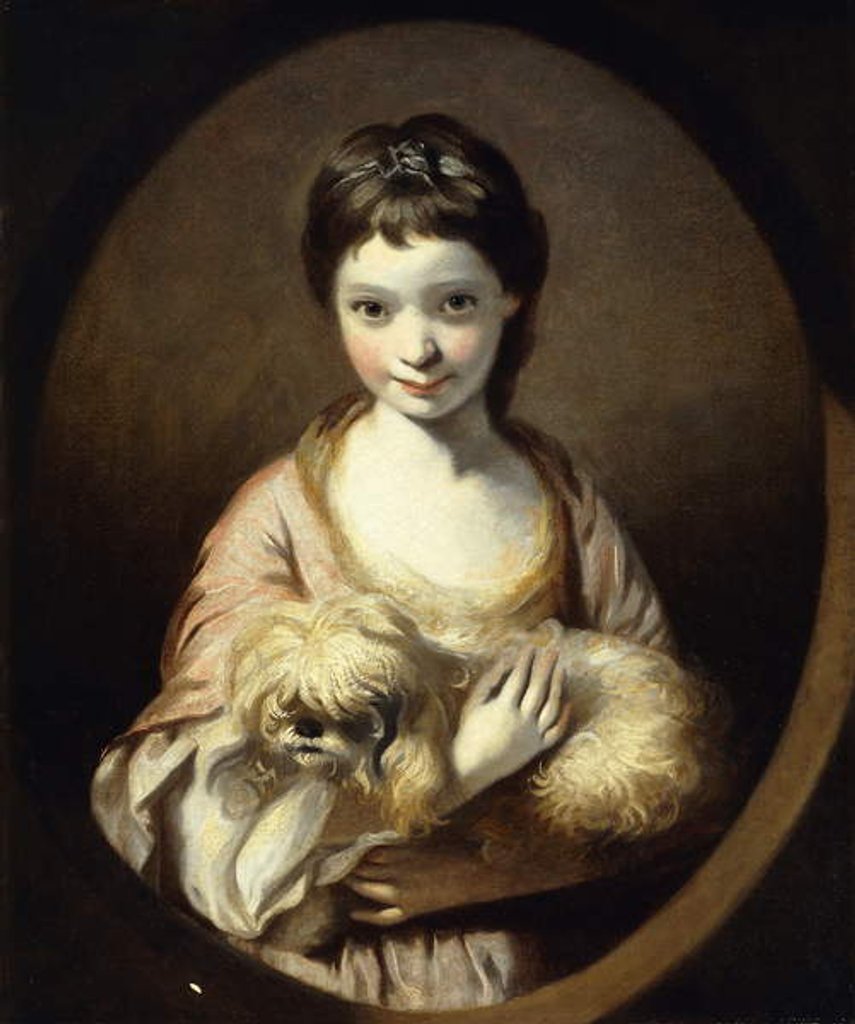 Detail of Portrait of Miss Emilia Vansittart, half length, wearing a Pink and White Dress holding a Dog, c.1767-68 by Joshua Reynolds