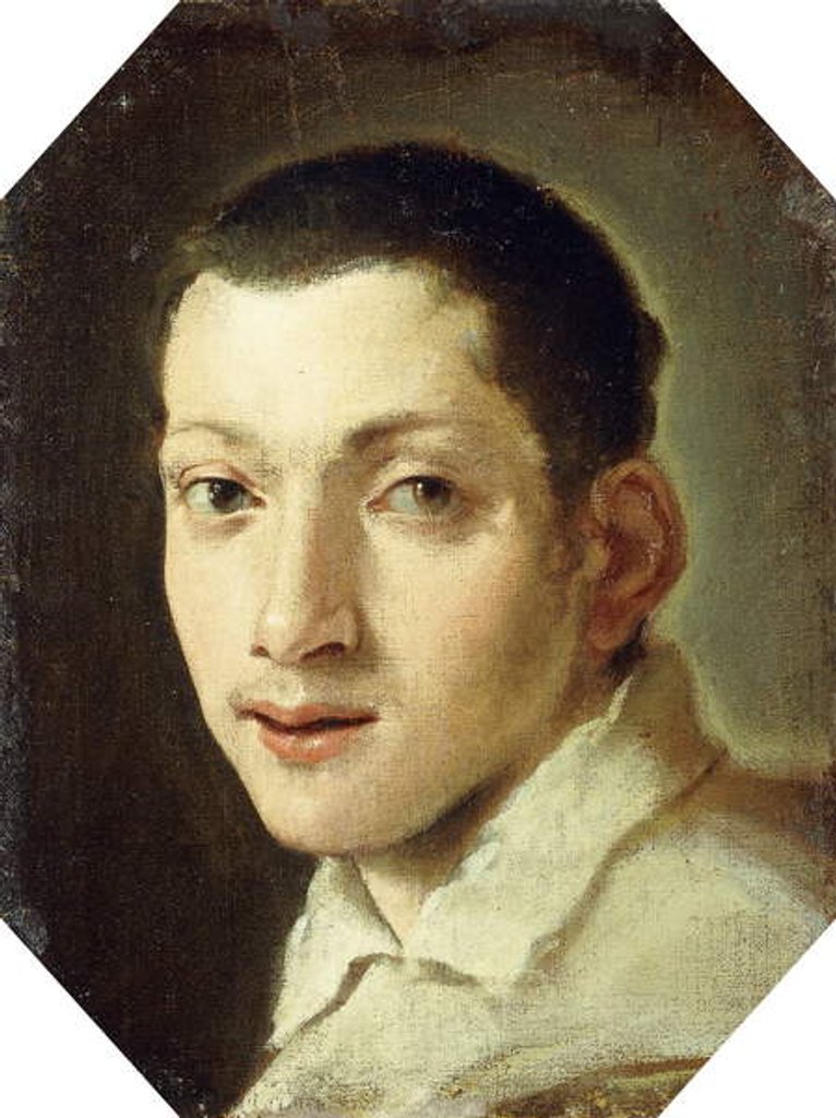 Detail of Head of a Youth by Ludovico Carracci