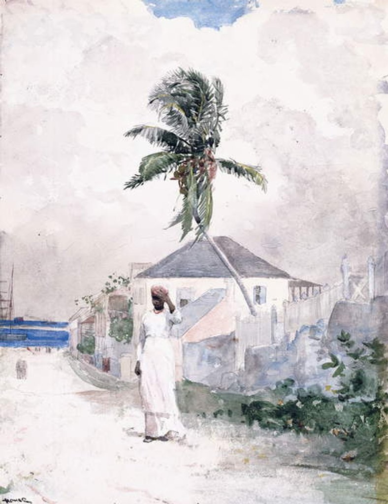 Detail of Along the Road, the Bahamas, 1885 by Winslow Homer