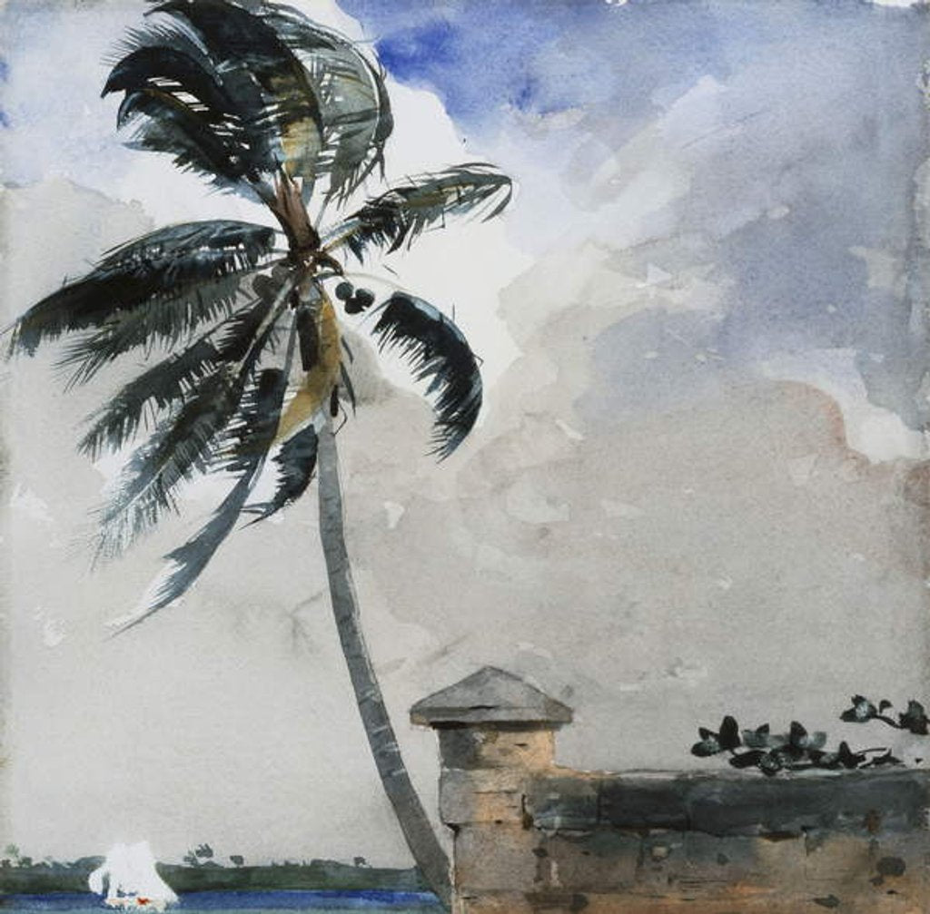 Detail of A Tropical Breeze, Nassau, 1889-90 by Winslow Homer