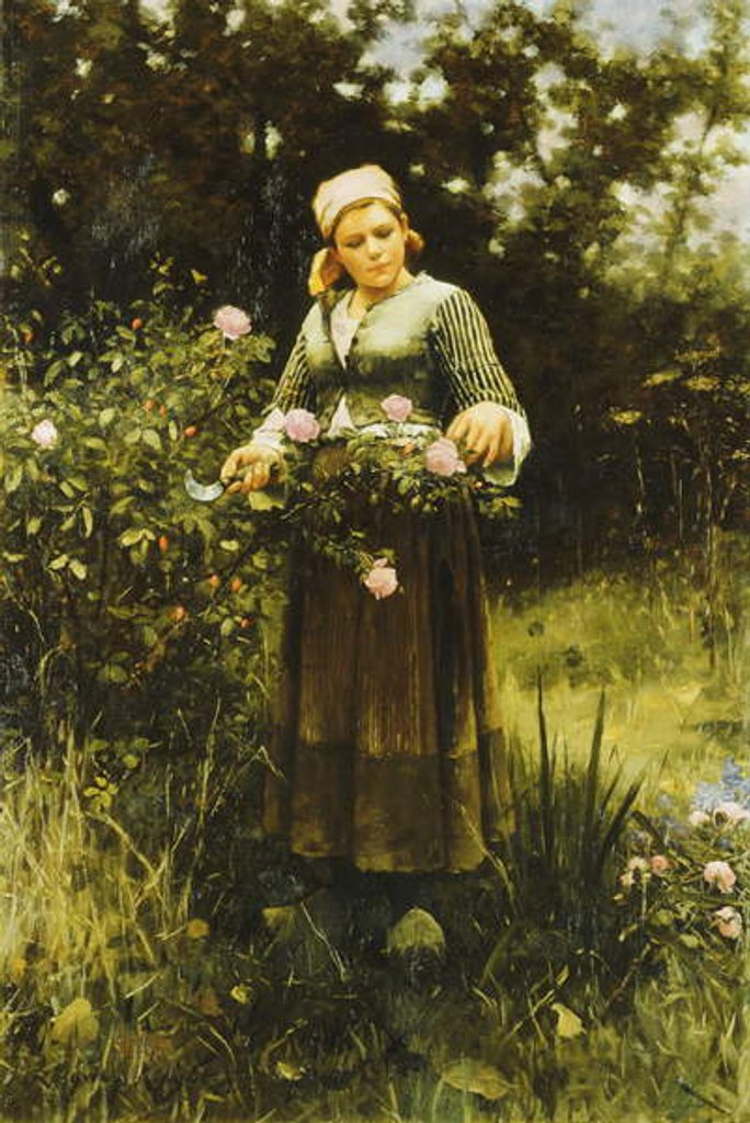 Detail of Gathering Roses by Daniel Ridgway Knight