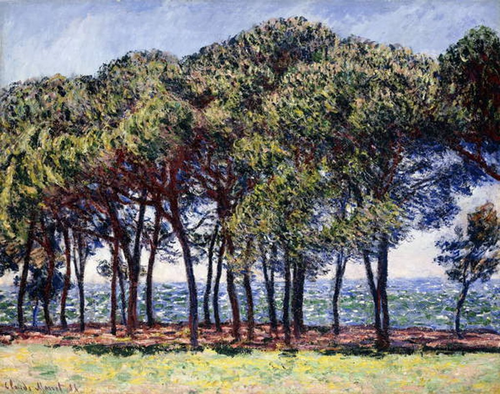Detail of Pines, Cap d'Antibes, 1888 by Claude Monet