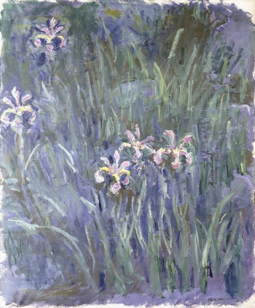 Detail of Iris, c.1914-1917 by Claude Monet