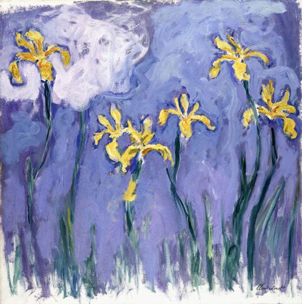 Detail of Yellow Iris with Pink Cloud, c.1918 by Claude Monet