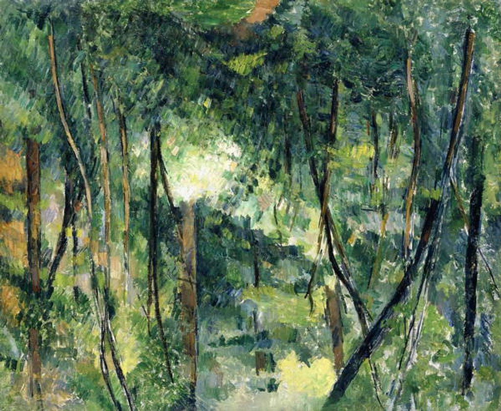 Detail of Undergrowth, c.1885 by Paul Cezanne