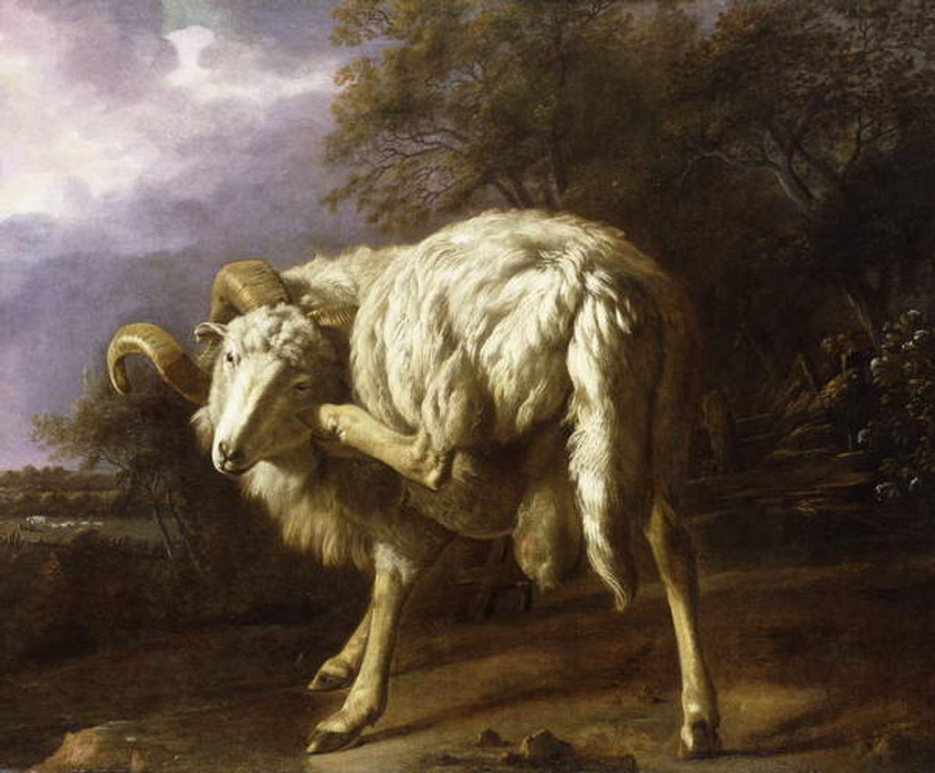 Detail of A Ram in a Wooded Landscape by Jan Baptist Weenix