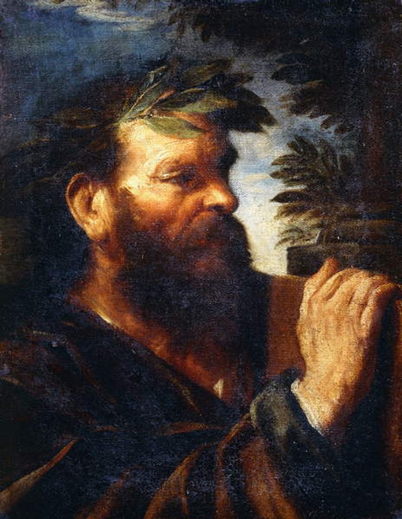 Detail of Head of a Sage by Pier Francesco Mola