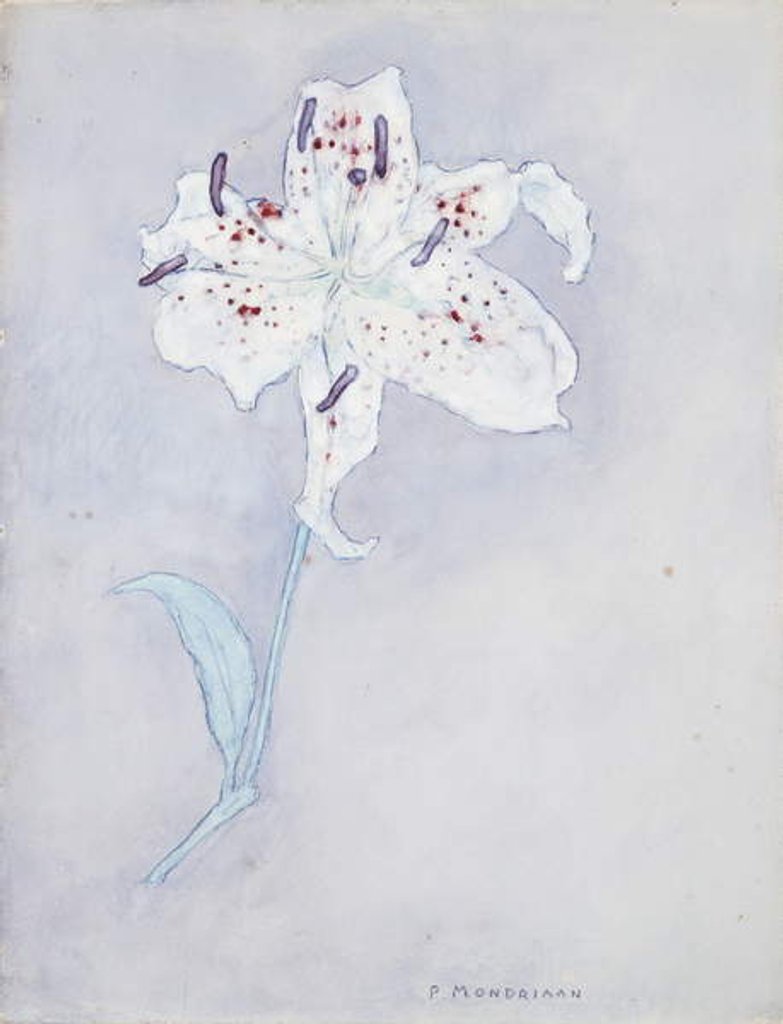 Detail of Lily, c.1920-25 by Piet Mondrian