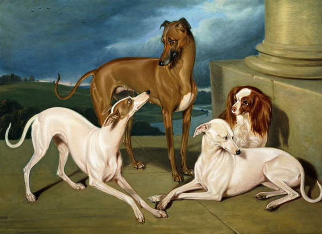 Detail of Whippets and a King Spaniel, 1837 by Edmund Jr Havell