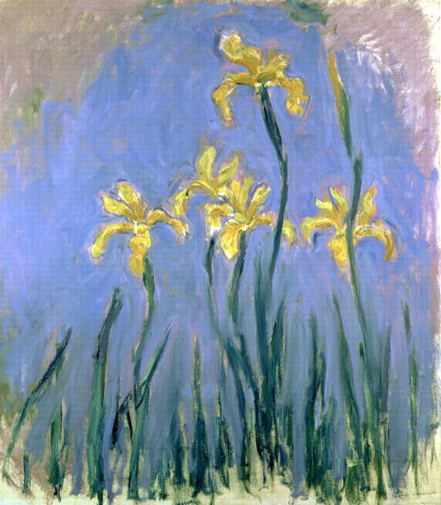 Detail of The Yellow Irises, c.1918-25 by Claude Monet