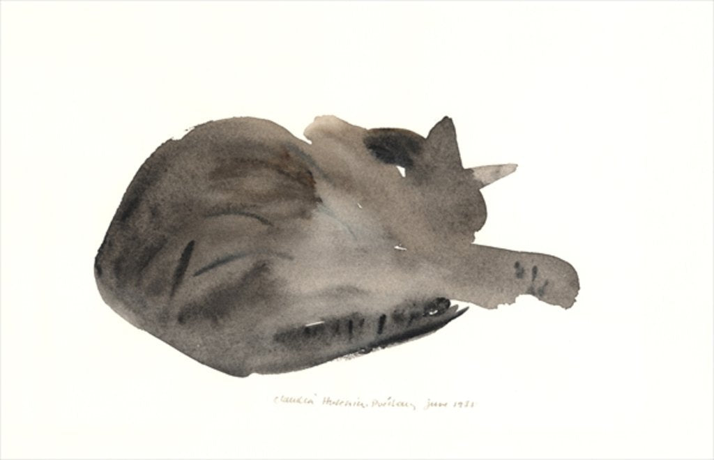 Detail of Sleeping cat, 1985 by Claudia Hutchins-Puechavy