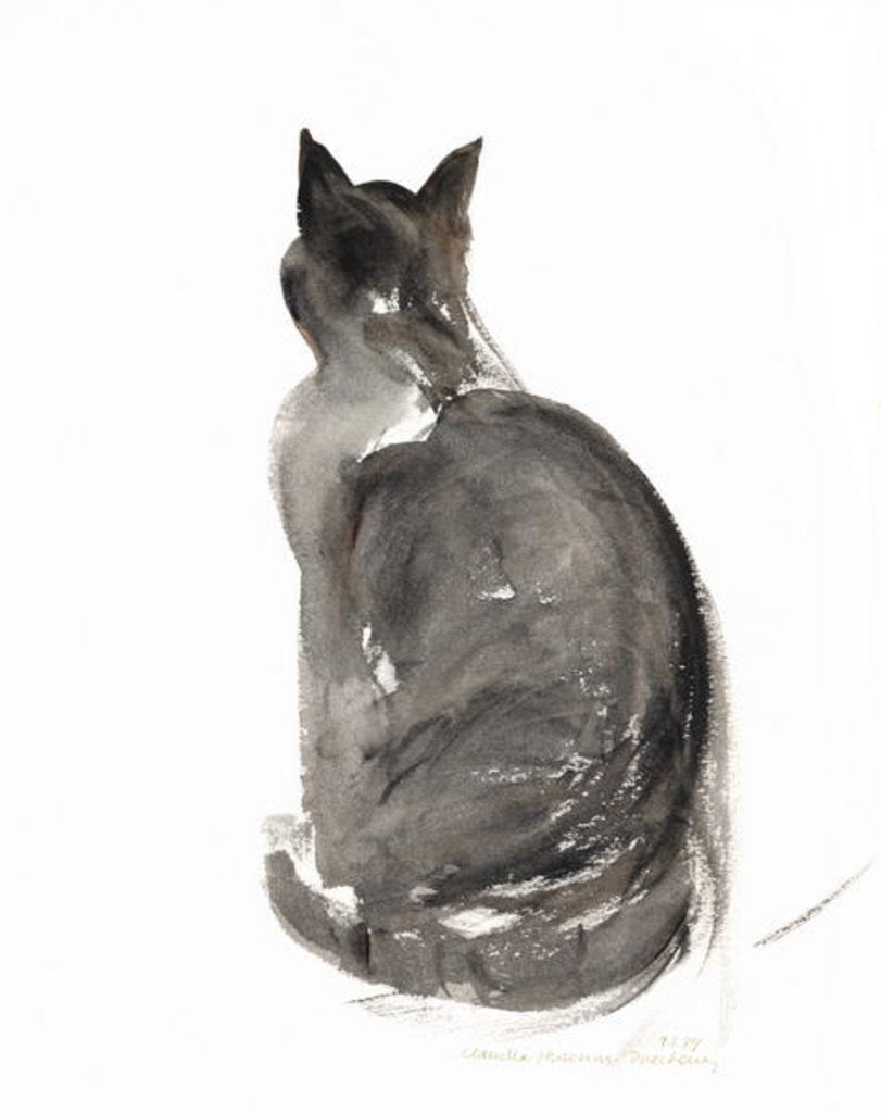 Detail of Cat, 1985 by Claudia Hutchins-Puechavy