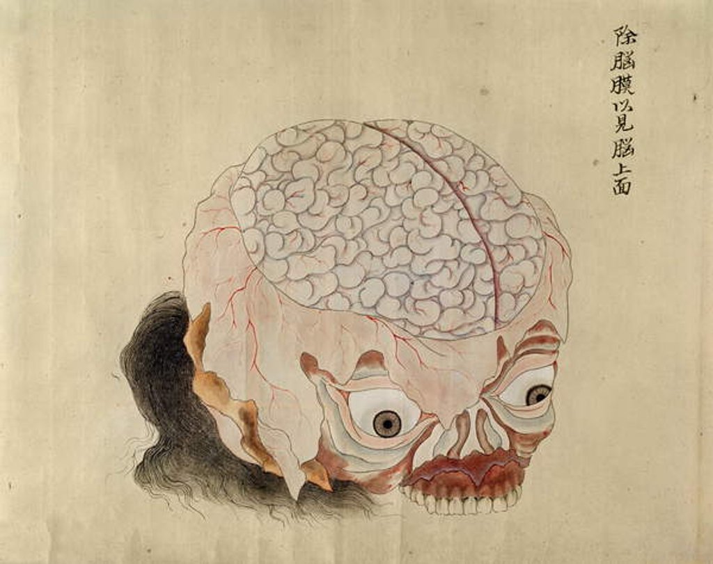 Detail of The anatomy of the brain from the dissection of a torture victim of 1796, from a makimono of a Midori doctor, 1842 by Japanese School