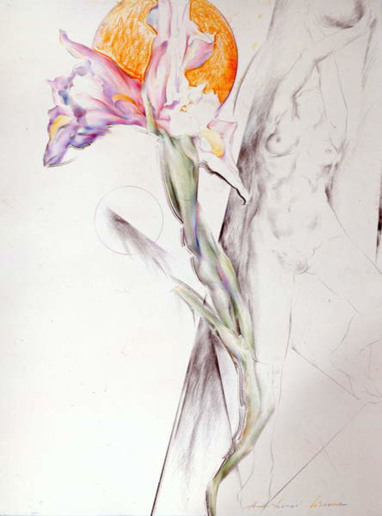 Detail of Iris - Composition II by Antonio Ciccone