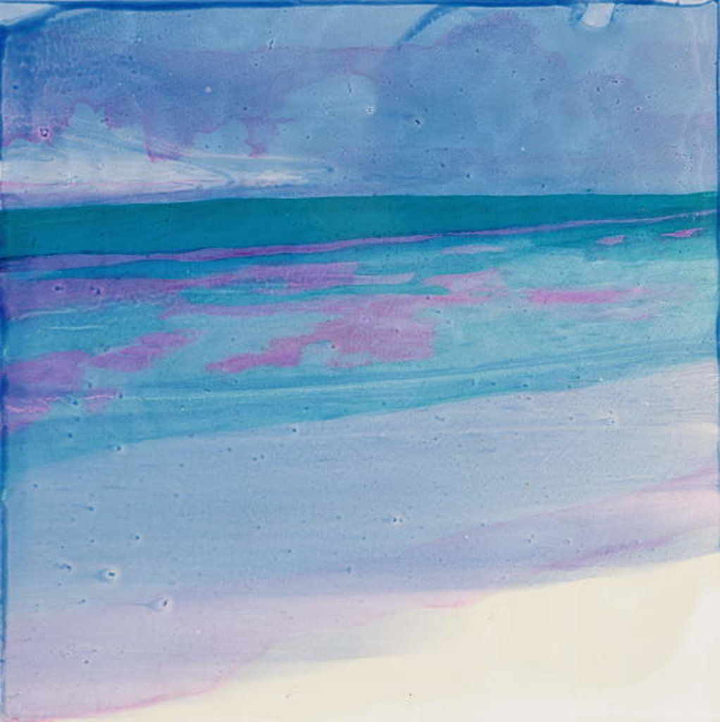 Detail of Turtle Beach, 2000 by Charlotte Johnstone