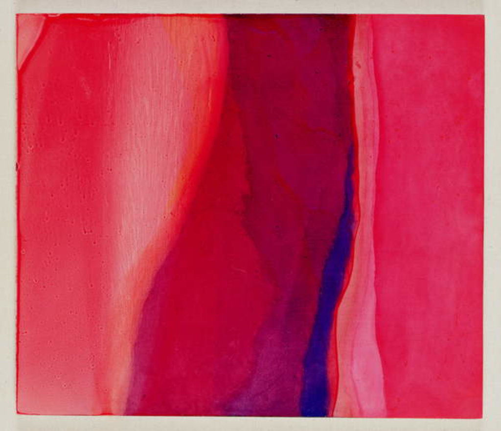 Detail of Sari Fish, 2000 by Charlotte Johnstone