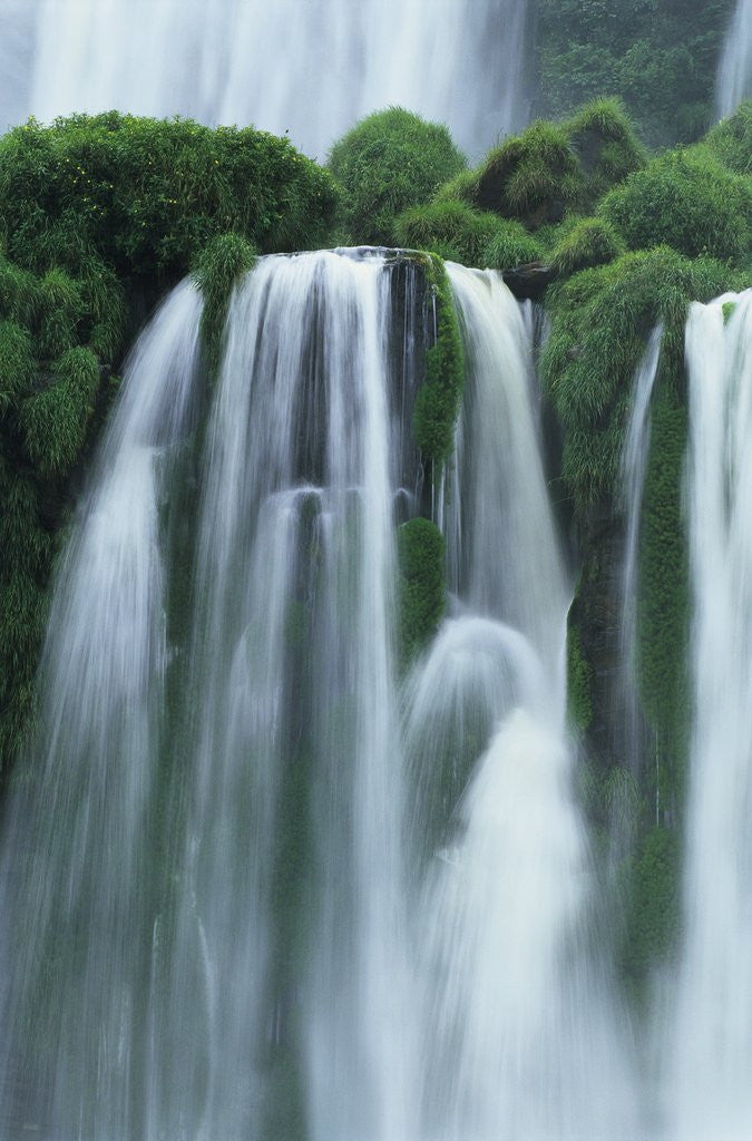 Detail of Iguazu Falls in Argentina by Anonymous
