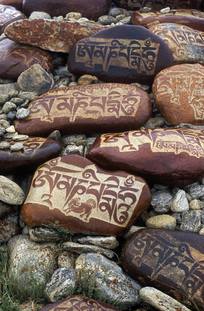 Detail of Buddhist Prayers on Carved Mani Stones in Tibet by Corbis