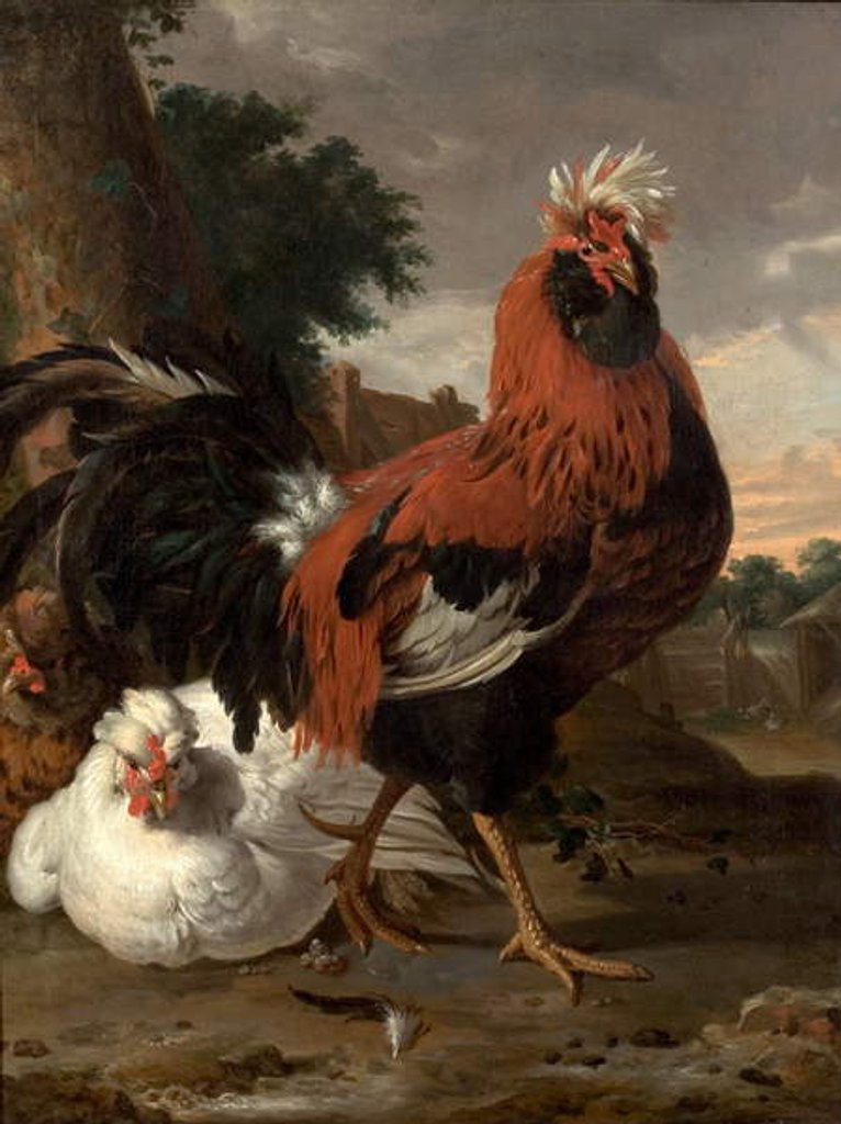 Detail of Fowl by Melchior de Hondecoeter