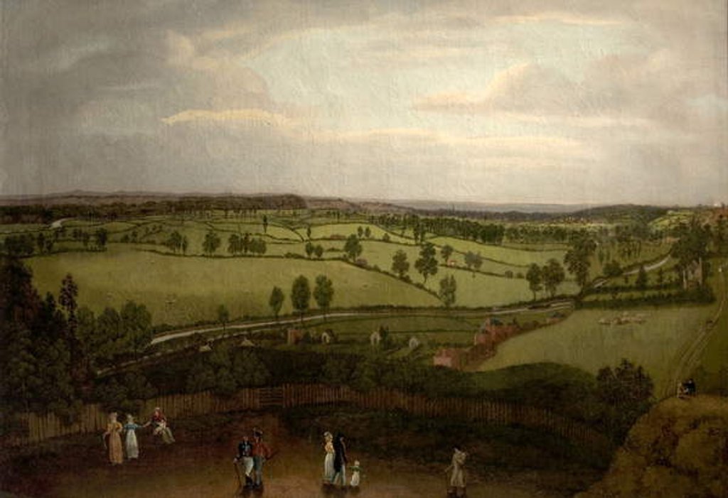 Detail of Nottingham Meadows from the Rock Cliff, where Lenton Road turns into Park Valley by Richard Bonington