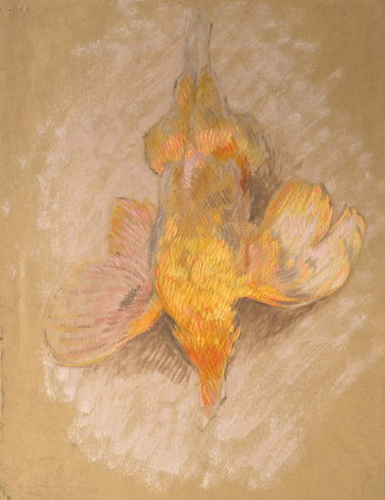 Detail of Study of a Fowl for 'Highland Raiders', c.1918 by William Shackleton