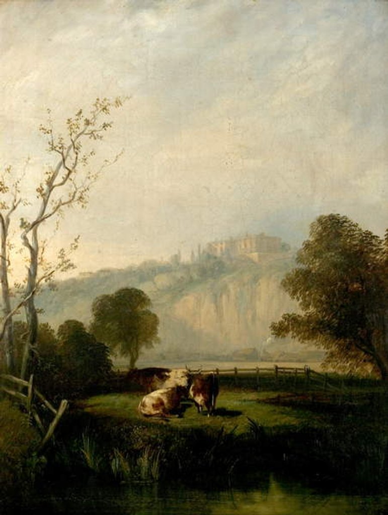 Detail of Nottingham Meadows, 1847 by Henry Smyth