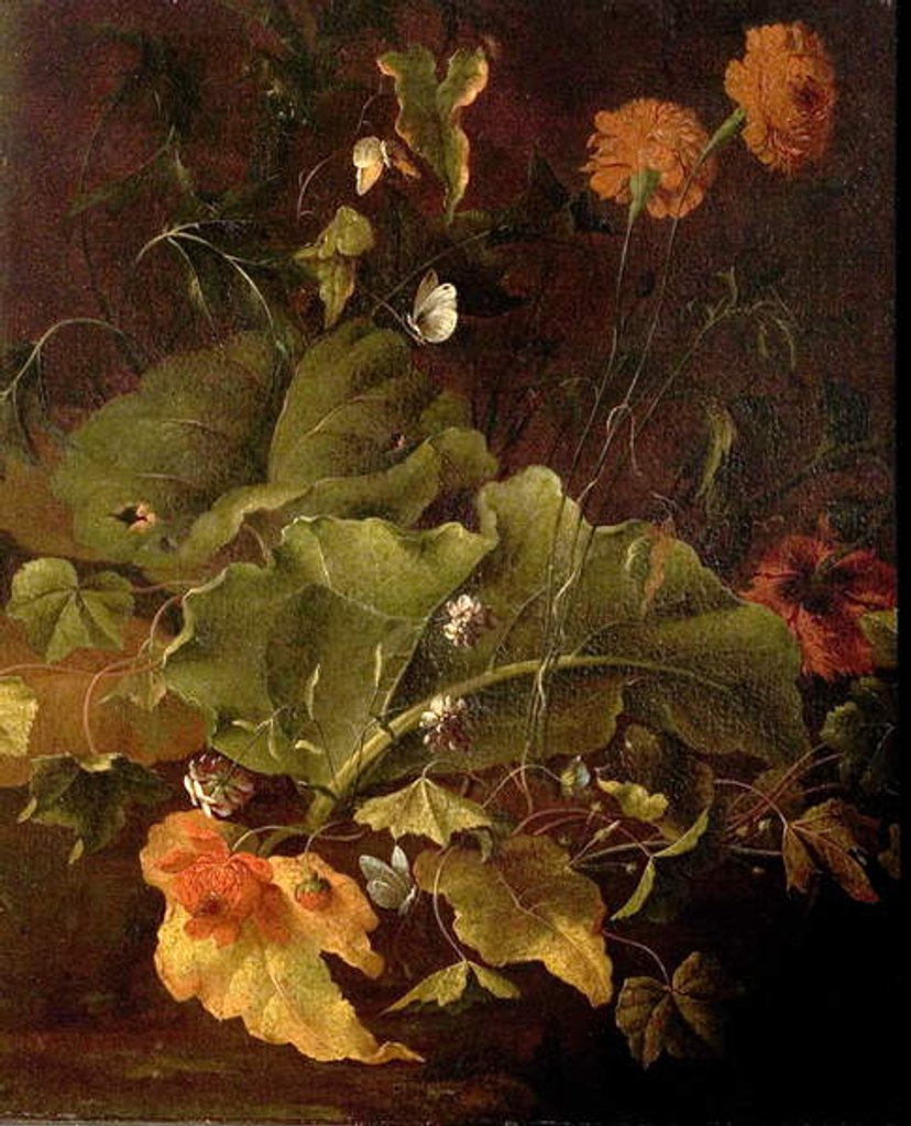 Detail of Dock Leaves and Other Flowers, c.1820 by James Sillett