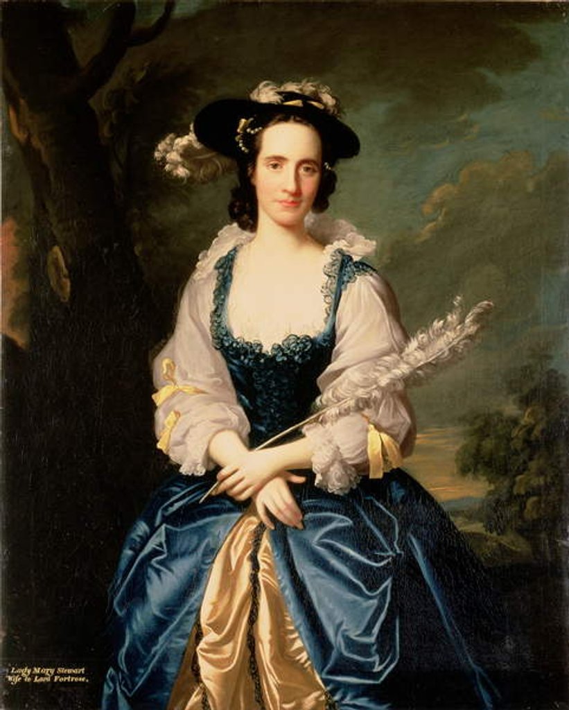 Detail of Portrait of Lady Mary Stewart, wife of Kenneth Mackenzie, Lord Fortrose, 1749 by Allan Ramsay