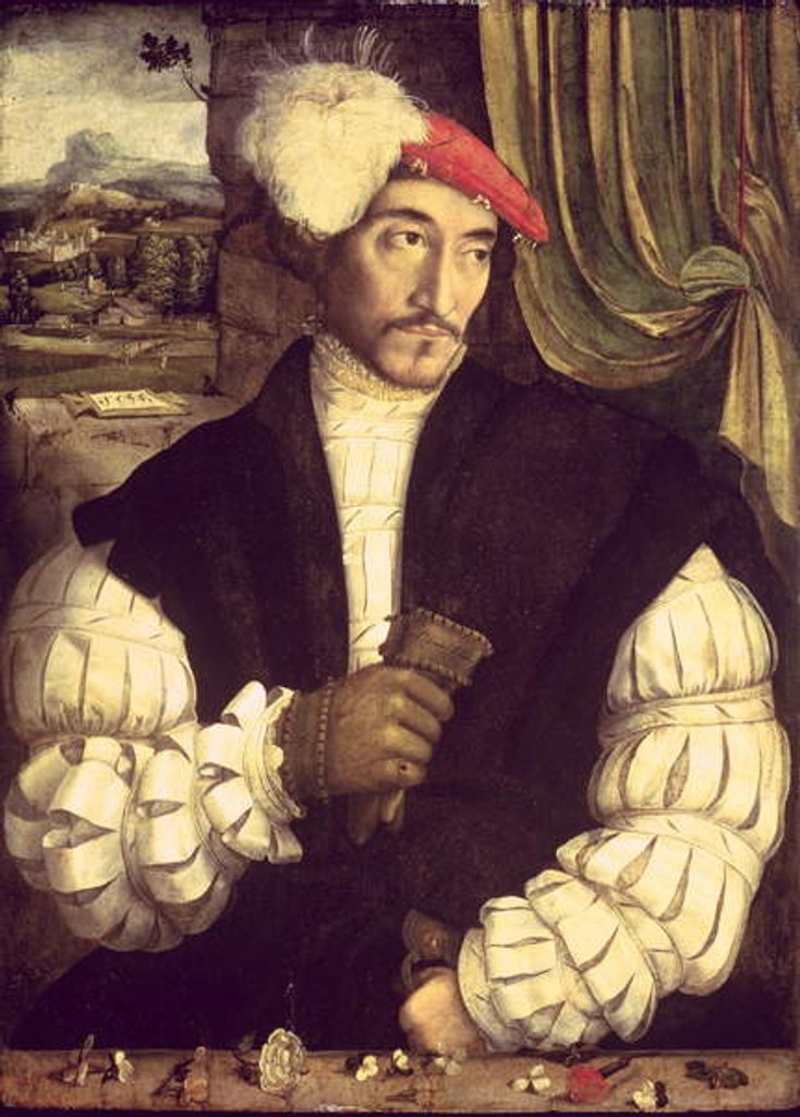 Detail of Portrait of a Man, 1533 by Jorg I Breu