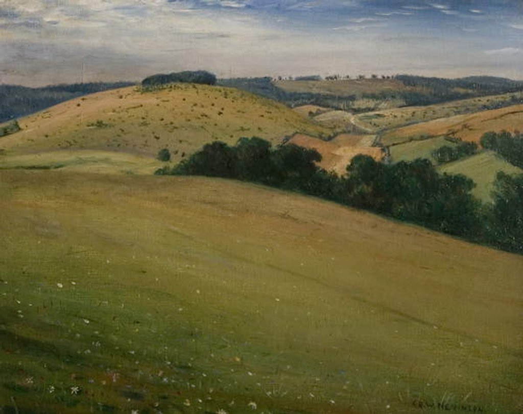 Detail of Summer in the Downs, 1946 by Christopher Richard Wynne Nevinson